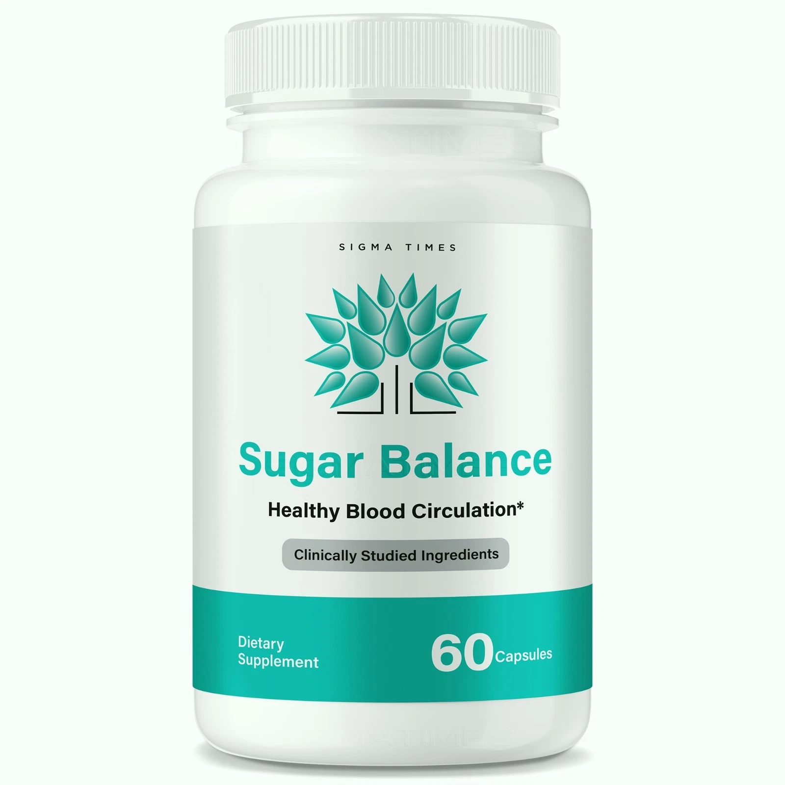 Sugar Balance Capsules, Blood Sugar Balance Blood Support 60ct