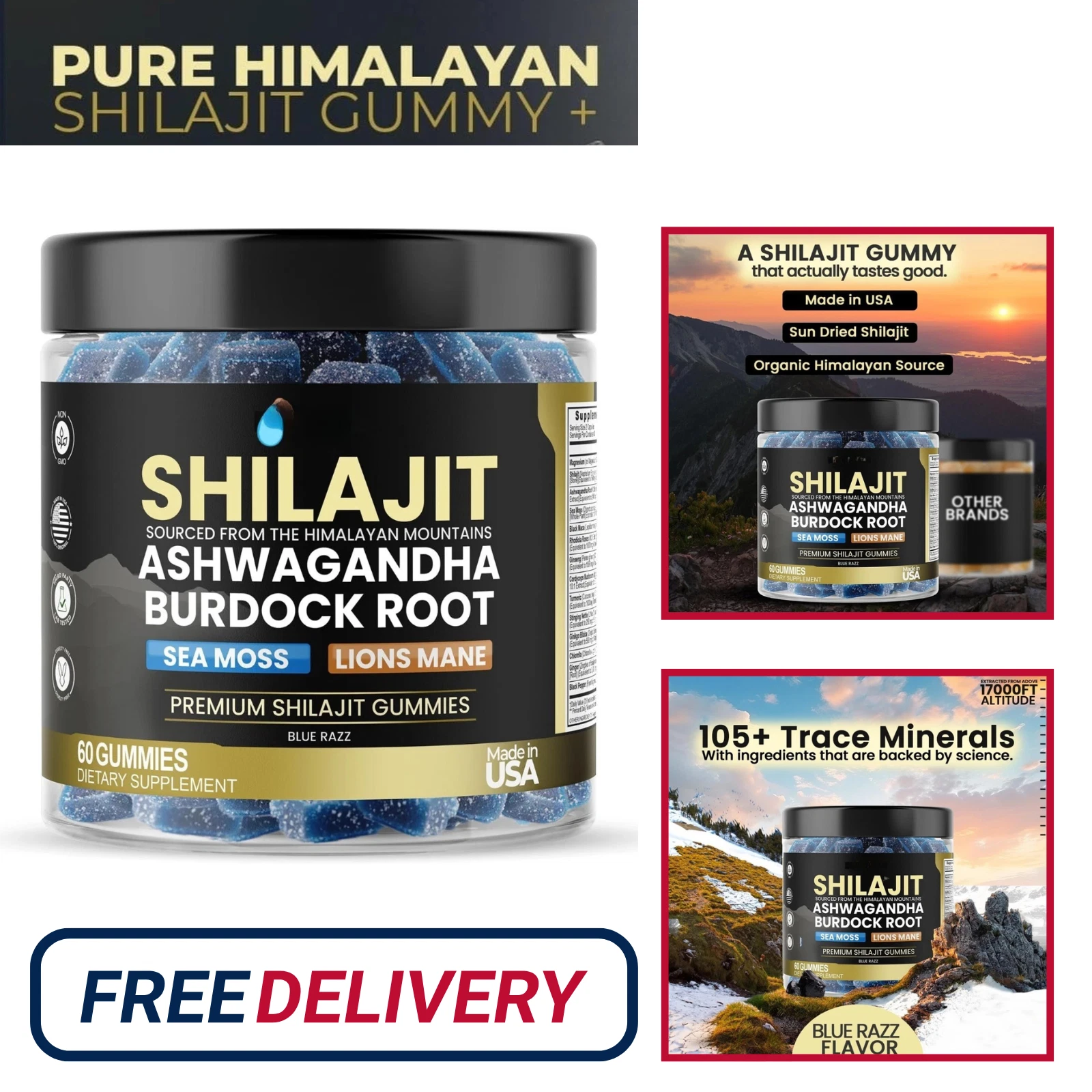 Pure Himalayan Shilajit Gummies with Ashwagandha & Chaga for Energy & Immunity