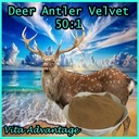 DEER ANTLER VELVET 50:1 EXTRACT POWDER 1LB MAXIMUM STRENGTH! BEST SELLING!