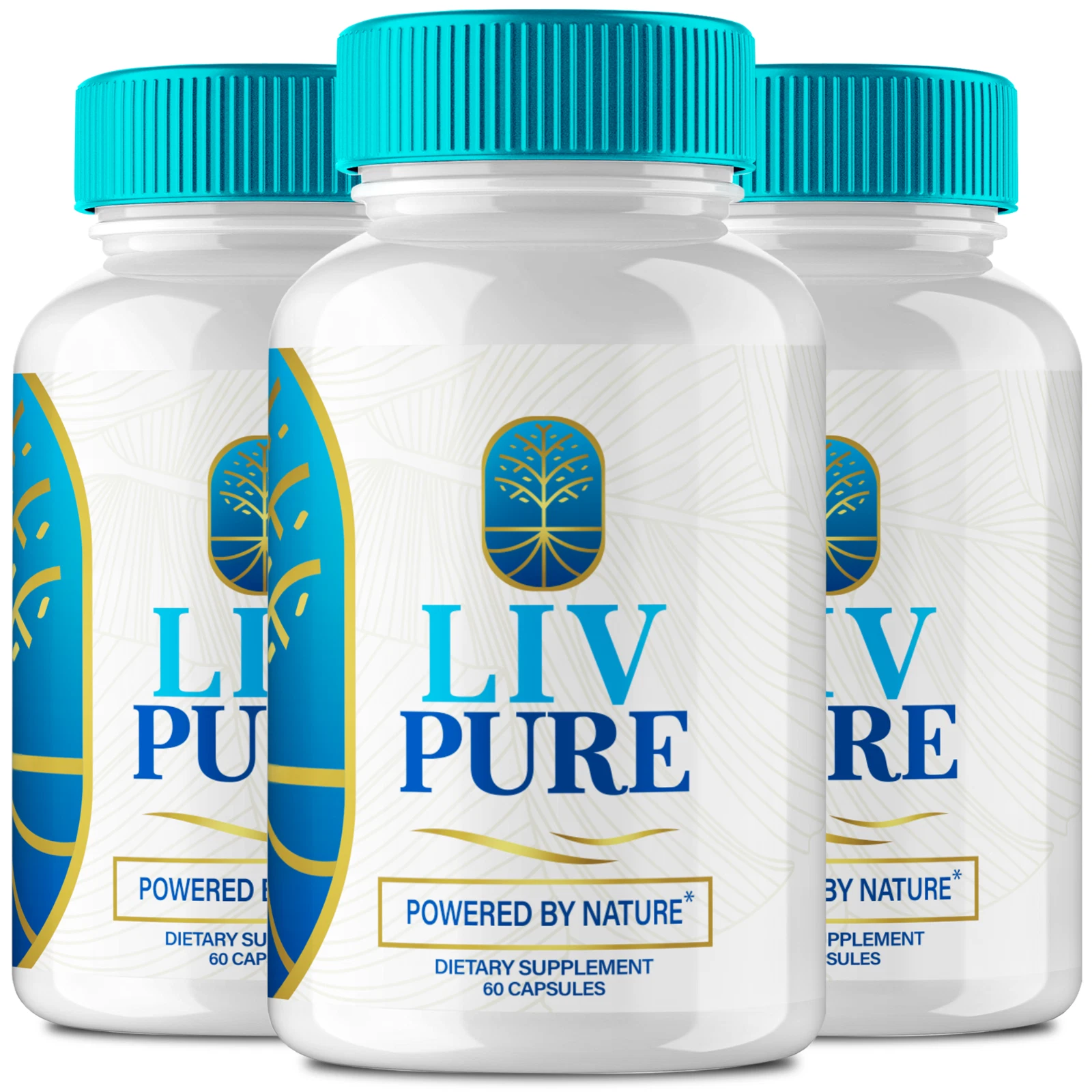 (3 Pack) Liv Pur Capsules Liver Detox Pills, Liv Pur Health Support Pills
