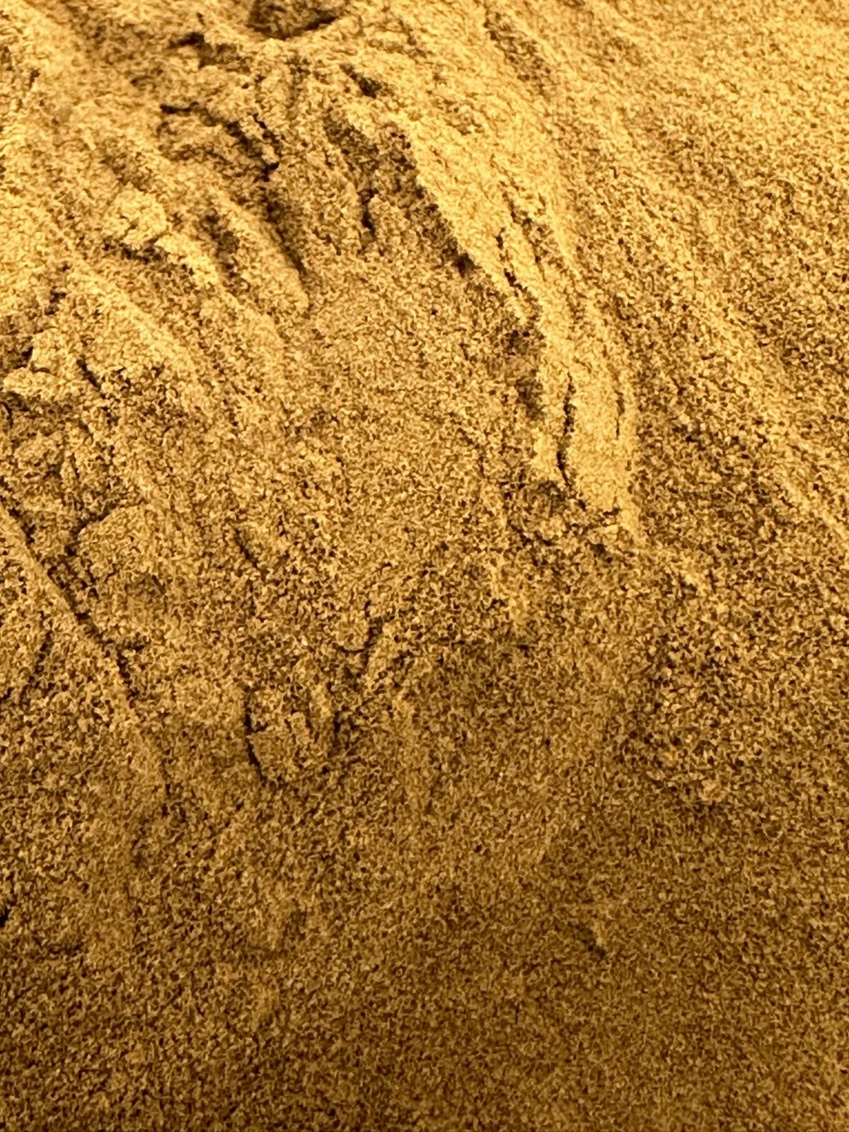 CISSUS JAVANA ROOT 20:1 EXTRACT Powder-25gm-AUSSIE NUTRITIONIST-FREE DEL