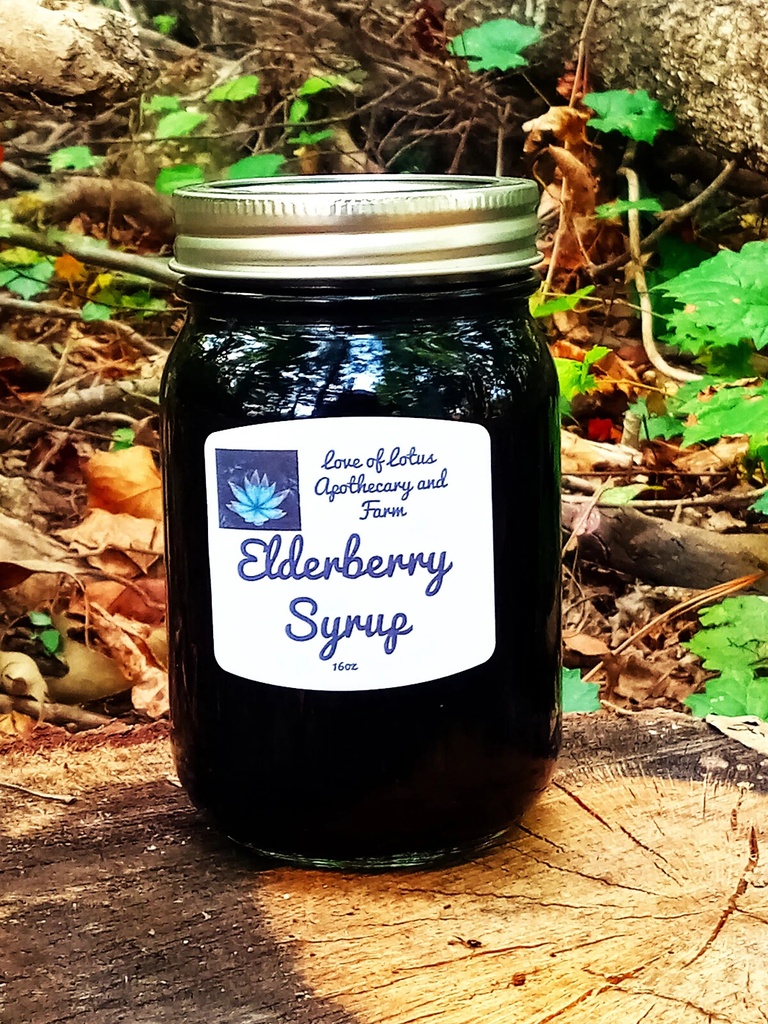 Elderberry Syrup - Organic Ingredients