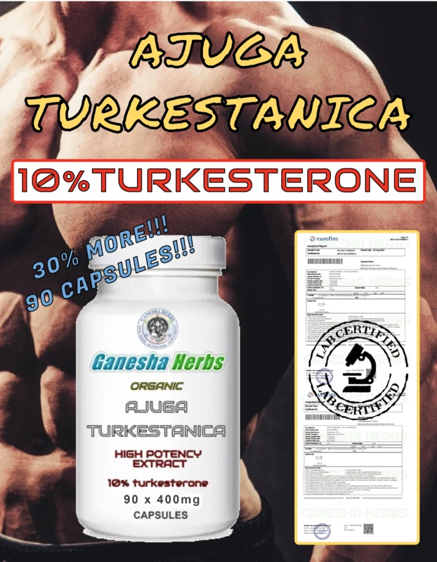 AJUGA TURKESTANICA High Potency Extract 10%TURKESTERONE 90 x 400mg Capsules