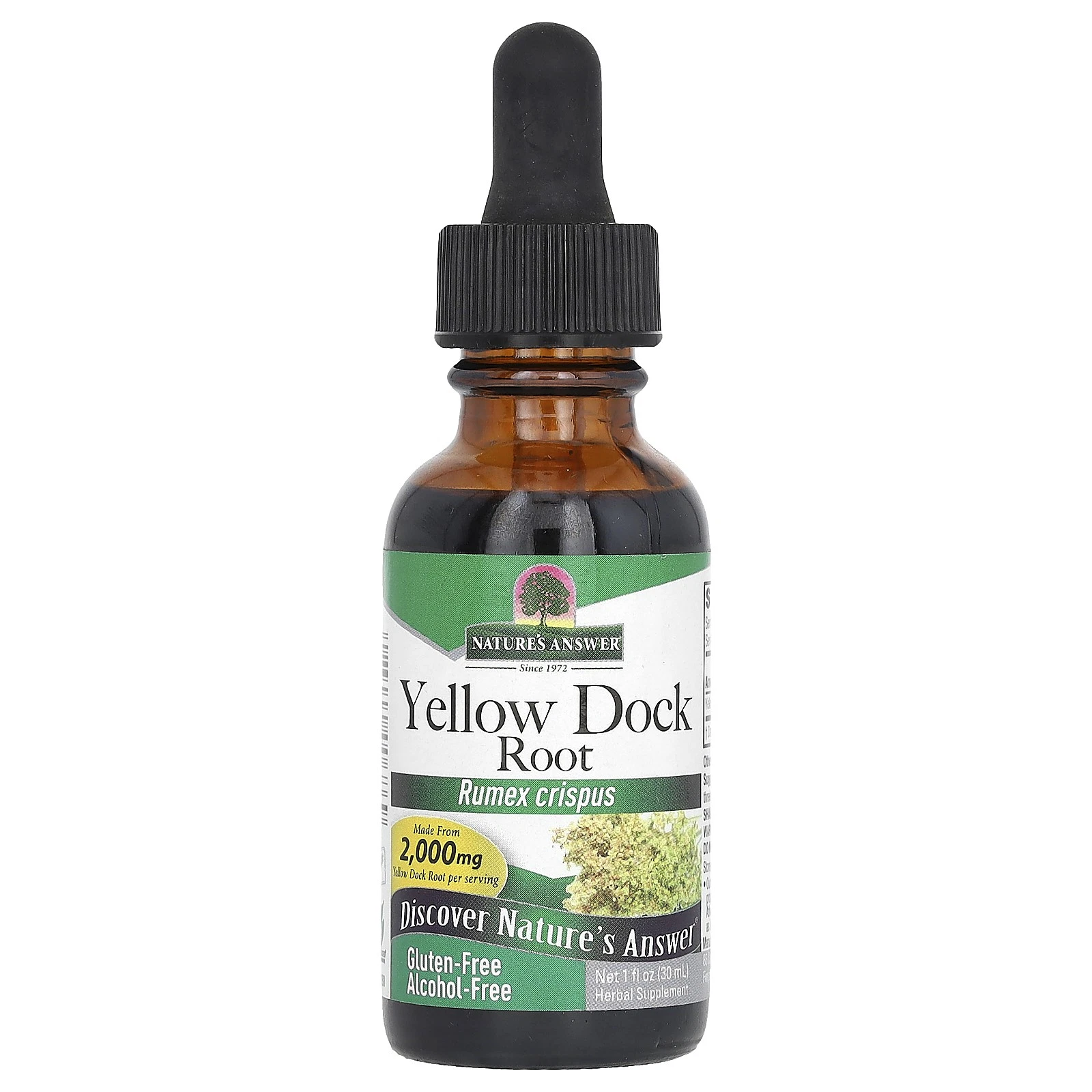 Yellow Dock Root, Alcohol-Free, 500 mg, 1 fl oz (30 ml)
