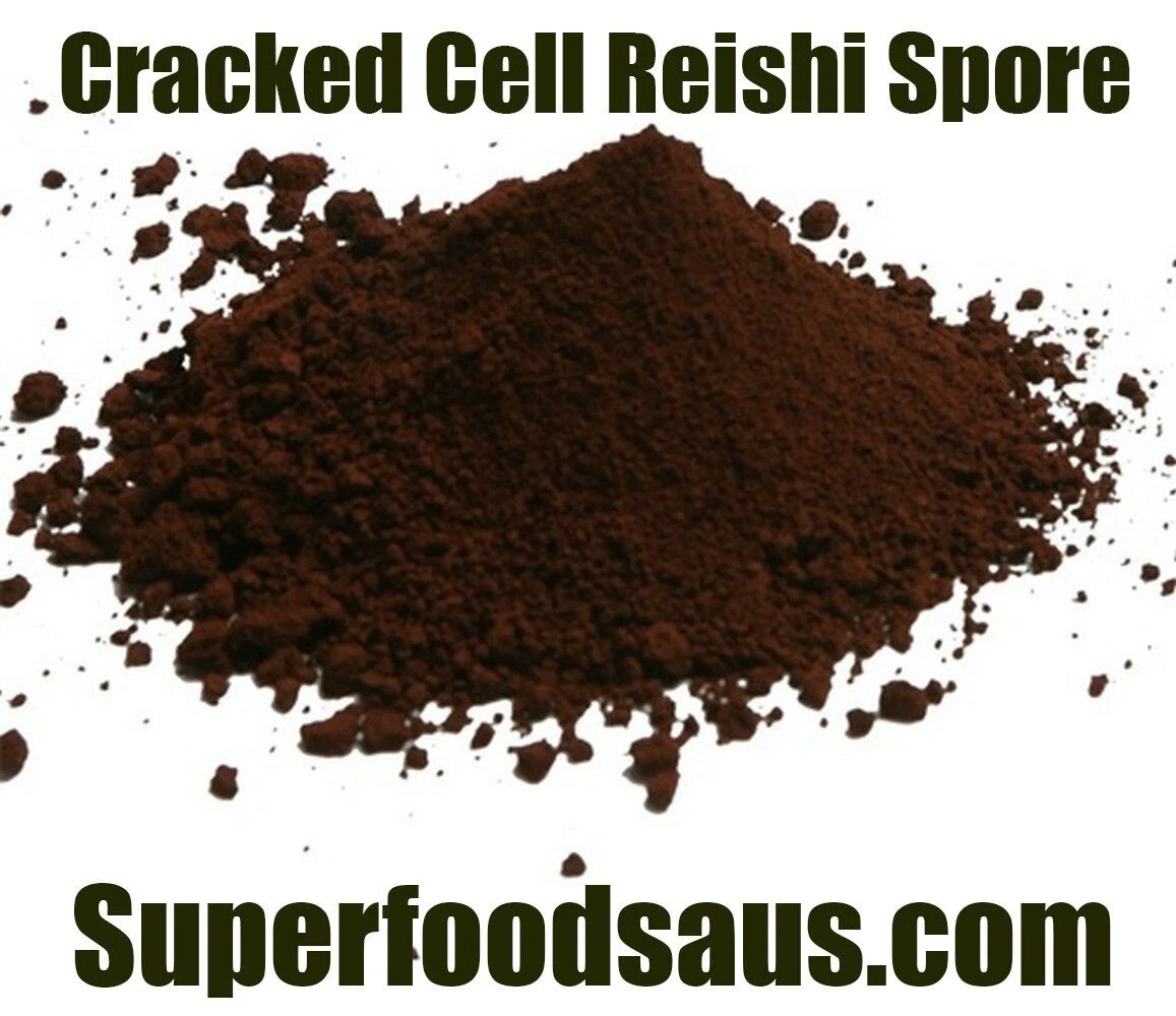 Reishi Mushroom Spore Powder 100g Organic Cracked Cell Wall Semi-Wild Changbai