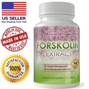 Forskolin Pure Extract Max Results 100% Capsules Diet Pill Softgels Burn Free