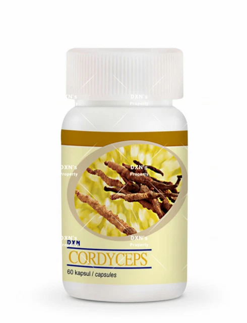 2 Bottles DXN Cordyceps 60 Capsules Cordyceps Sinensis Boost Immunity Stamina
