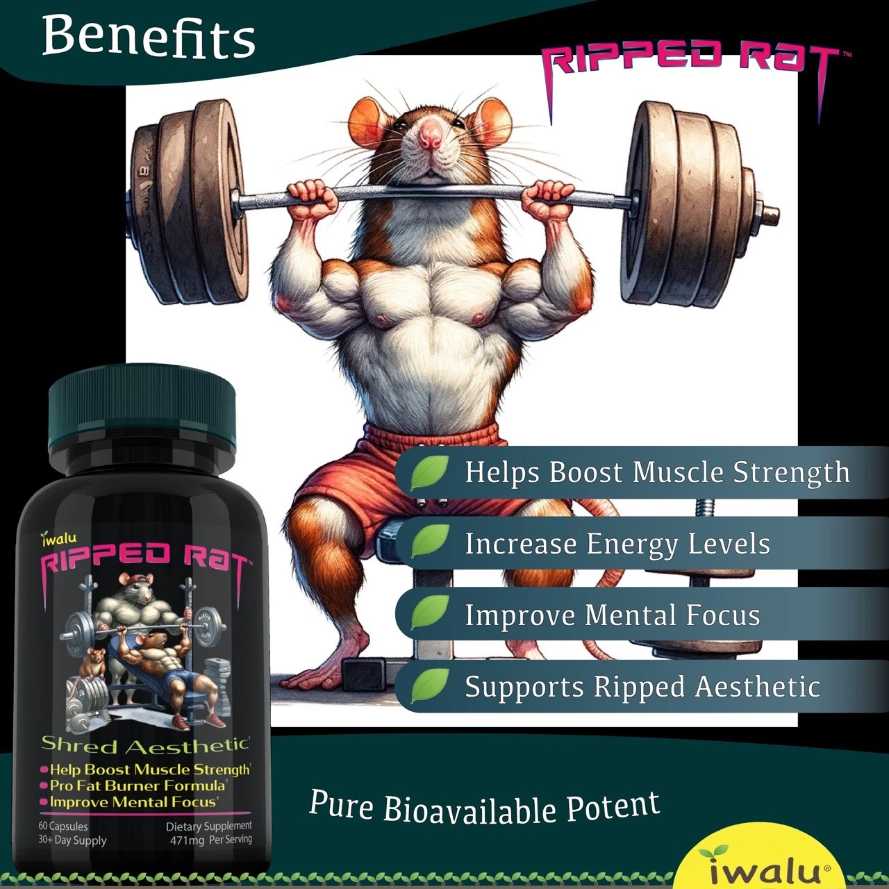Ripped Rat | Mens Weight Loss Pills | *fast Free Shipping* Same Day