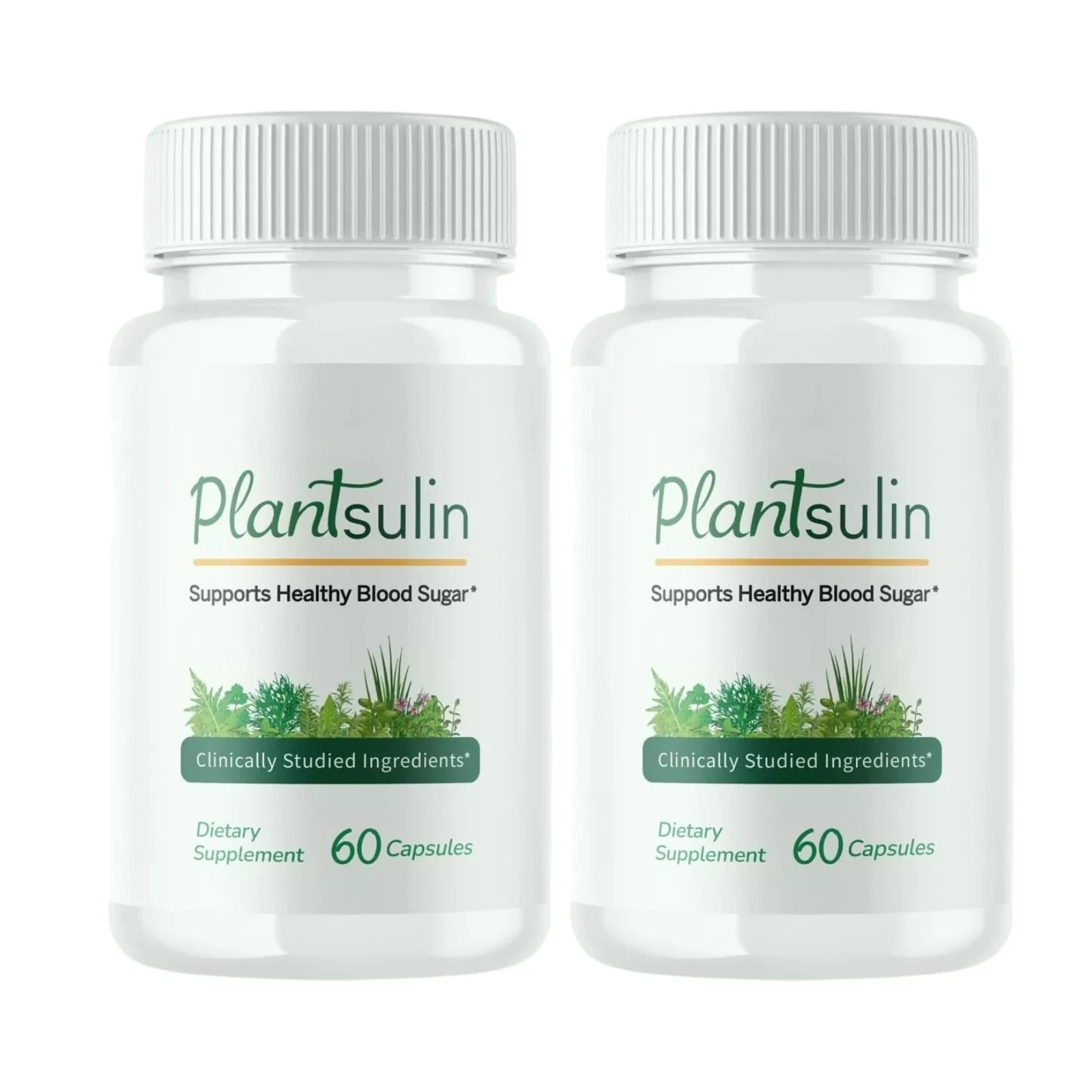 2-Pack Plantsulin for Immune Defense Support and Weight Loss - 120 Capsules