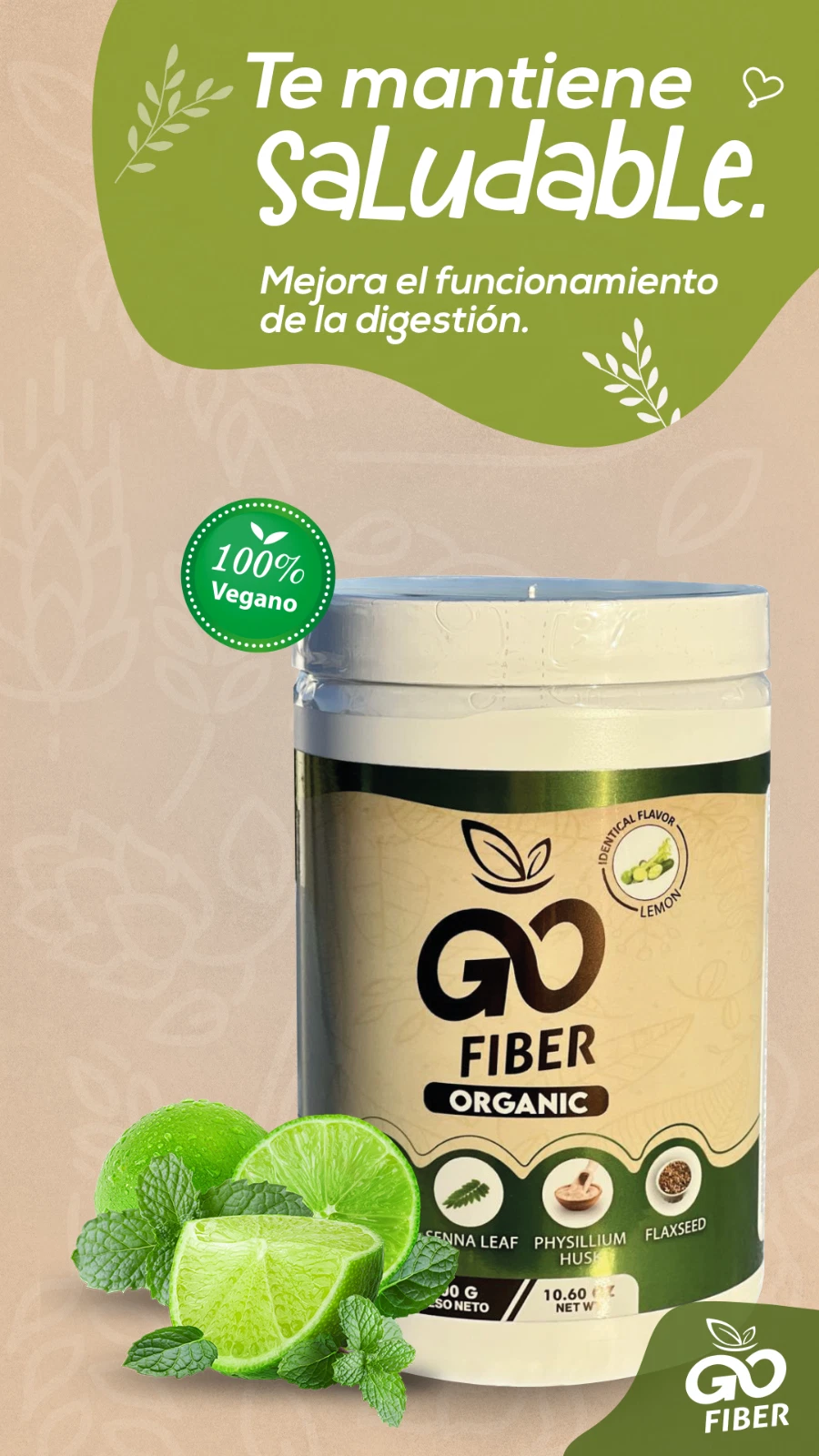 Go Fiber Organic Lemon 300 gr