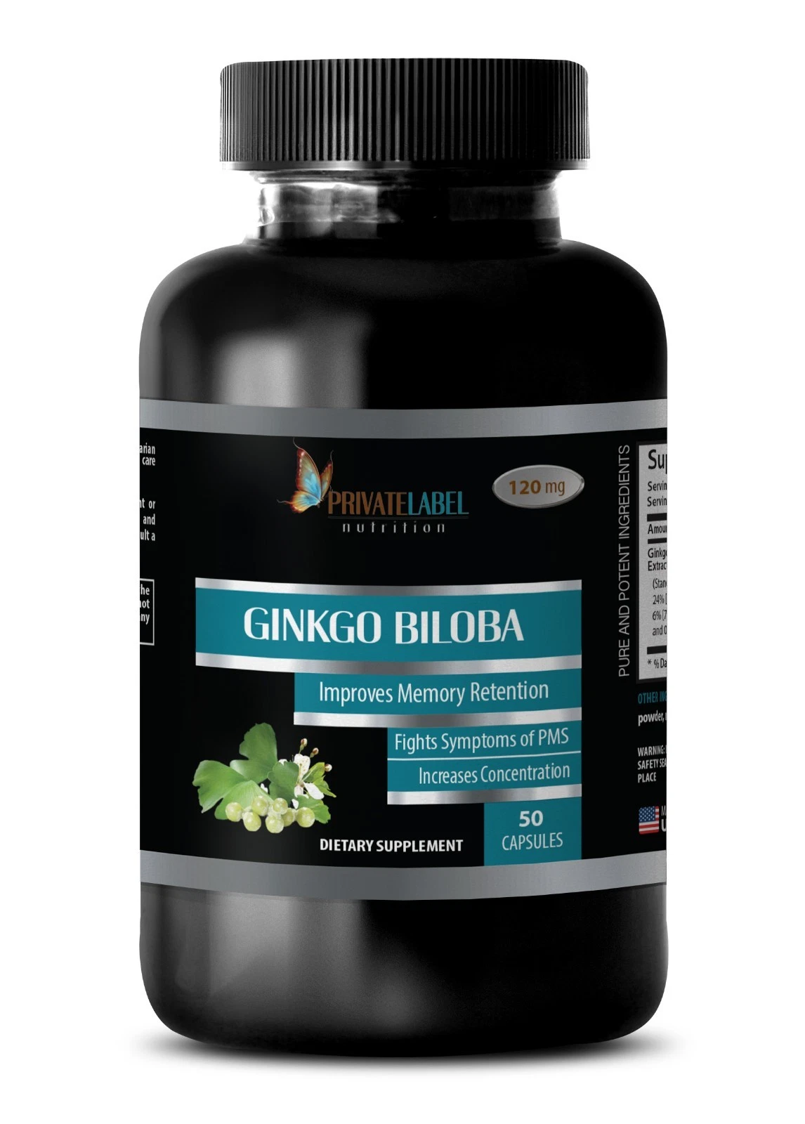 Ginkgo Biloba Extract 120mg - Mental Clarity, Brain Booster, Sharpen Focus