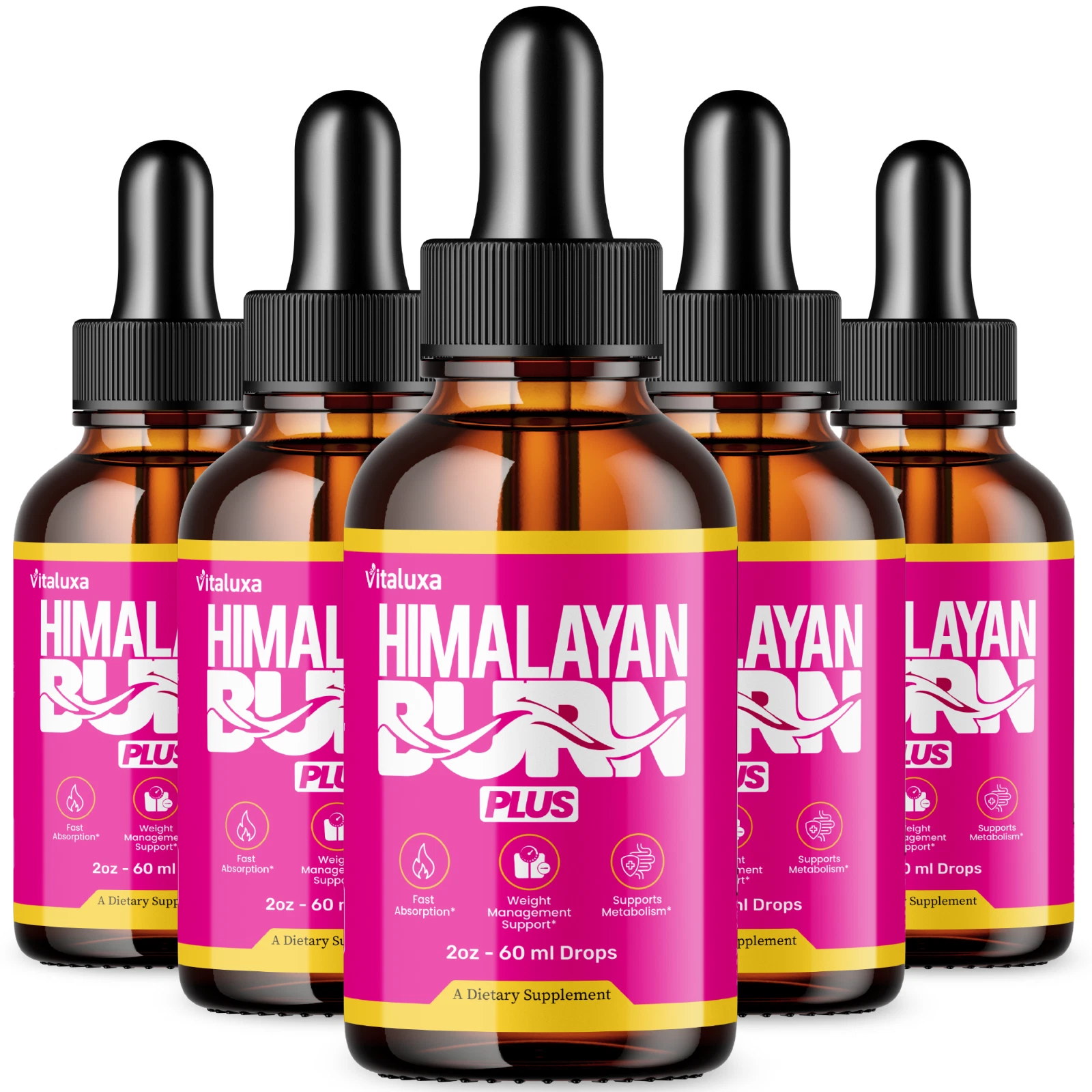 (5 Pack) Himalayan Burn Plus Drops Himalaya Burn Plus Advanced Supplement (10oz)