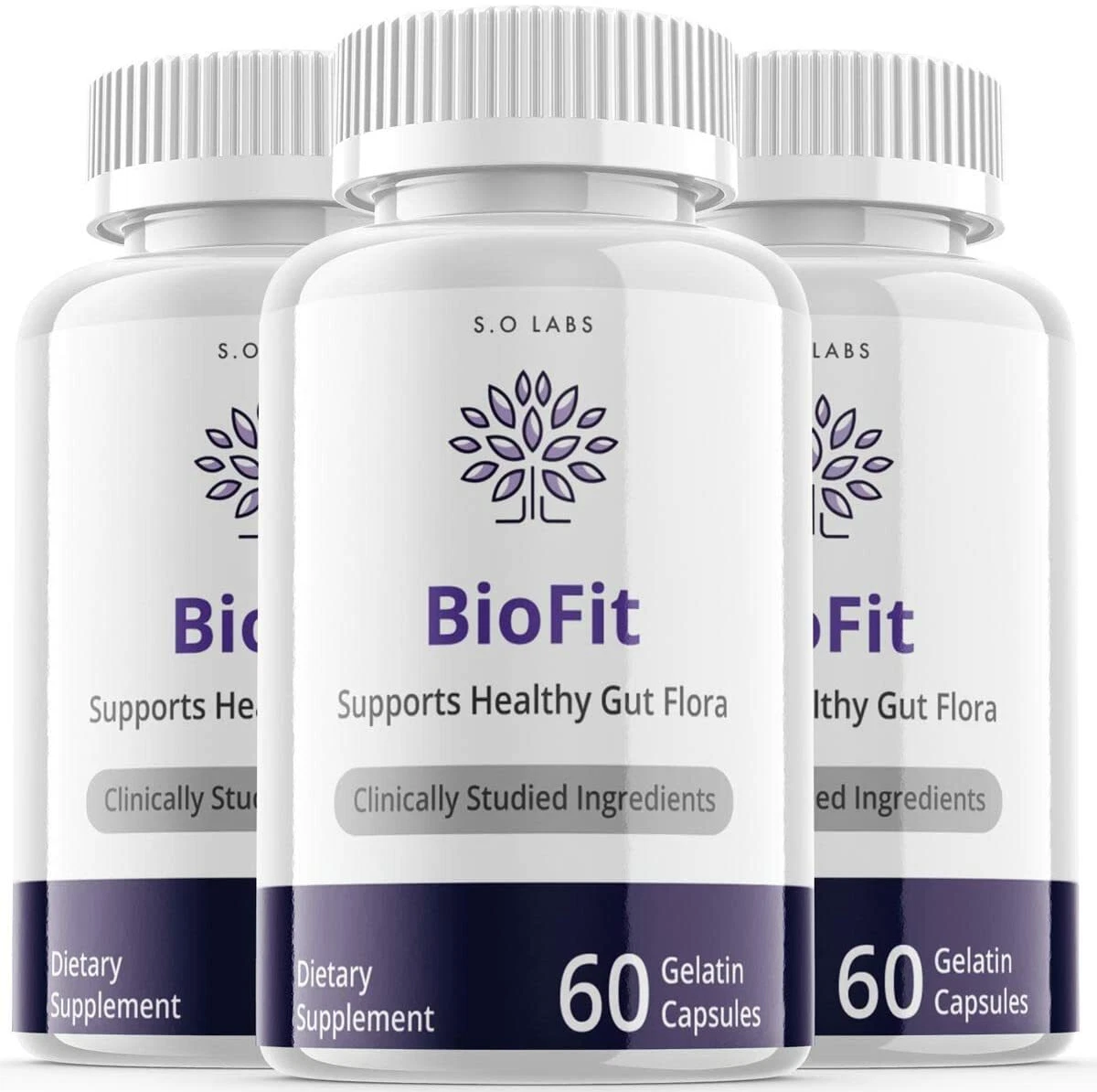 3-Biofit Diet Pills,Weight Loss,Fat Burn, Appetite Control, Gut Flora Supplement