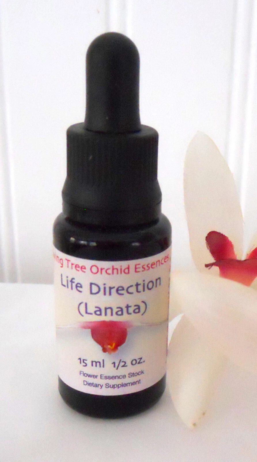 Living Tree Orchid Essences LIFE DIRECTION 15 ml 1/2 oz Acts on Chakras