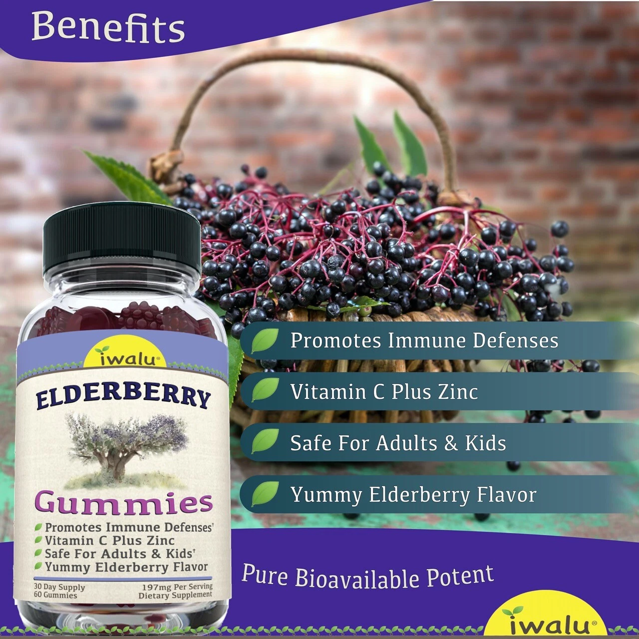 Gummy Vitamins Black Elderberry Gummies With Vitamin C & Zinc Flavored Gummy