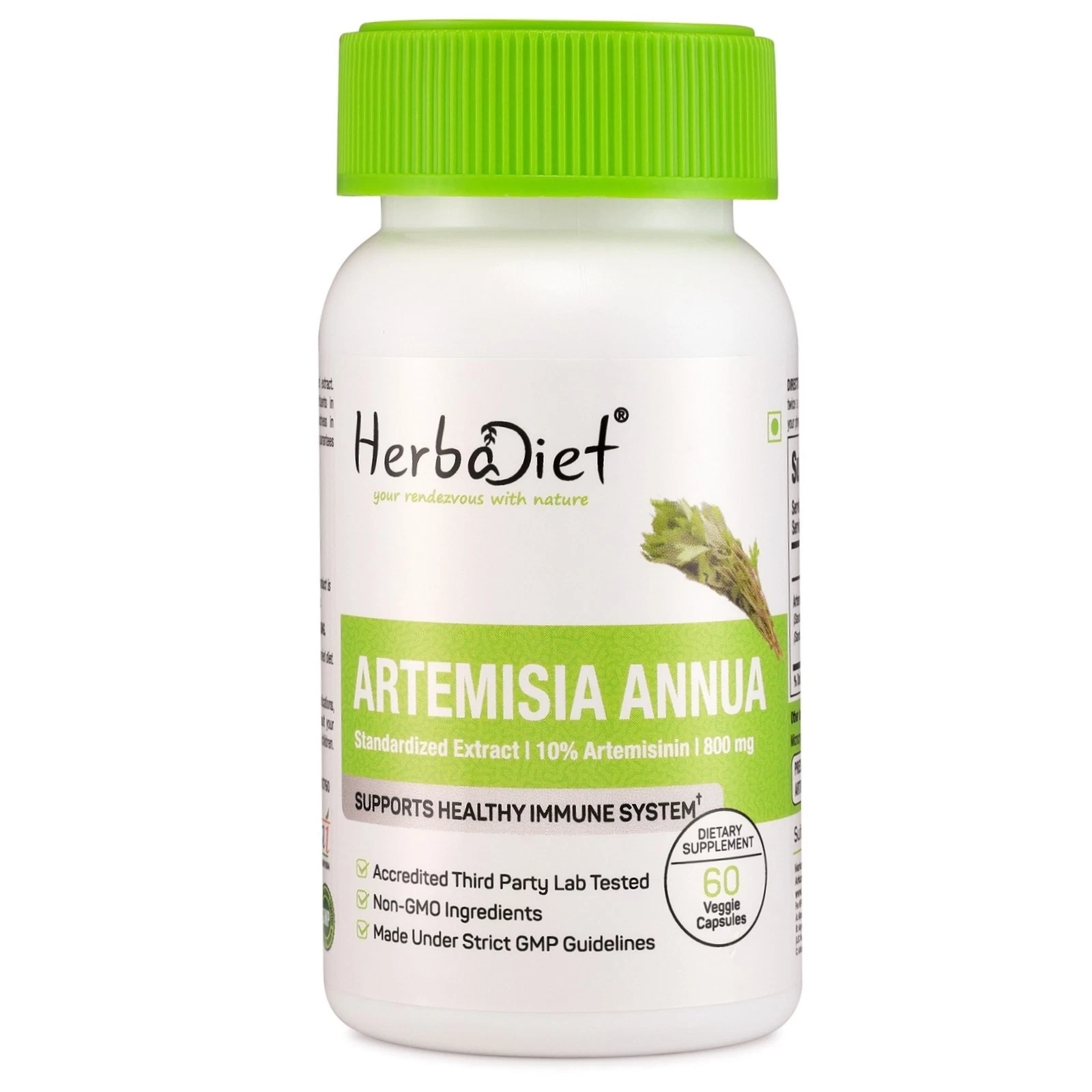 Artemisia Annua Extract Capsules ARTEMISININ Builds Immunity For Intestinal Worm