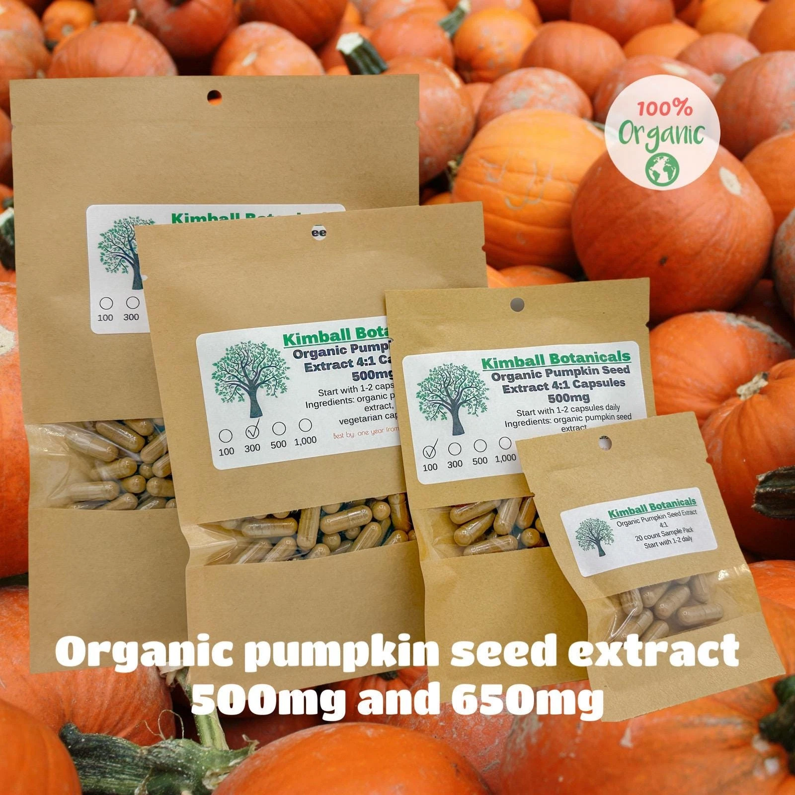 Organic Pumpkin Seed 4:1 Extract (cucurbita pepo) 500mg or 650mg vegetarian or