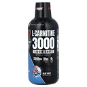 L-Carnitine 3000 Liquid Shots, Blue Razz, 16 fl oz (473 ml)