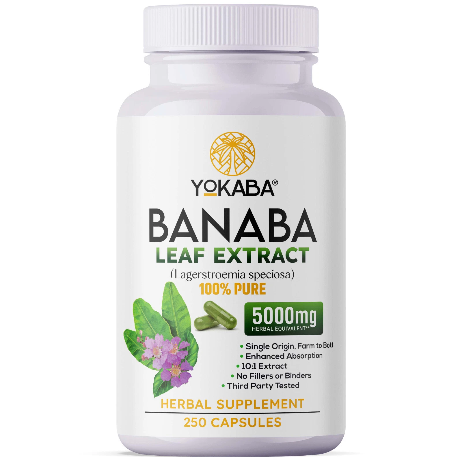 500 Capsules BANABA Leaf Extract 5000mg Corosolic Acid 3.8mg Lagerstroemia