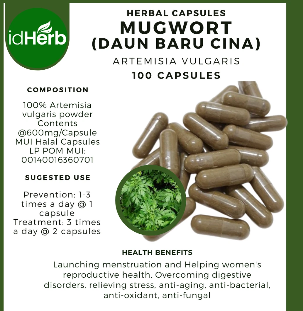 100-500 CAPSULES of Mugwort Artemisia Vulgaris 100% Natural Organic WildCrafted