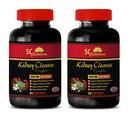 Anti-aging supplement - KIDNEY CLEANSE COMPLEX - Immune system boost - 2 Bottles