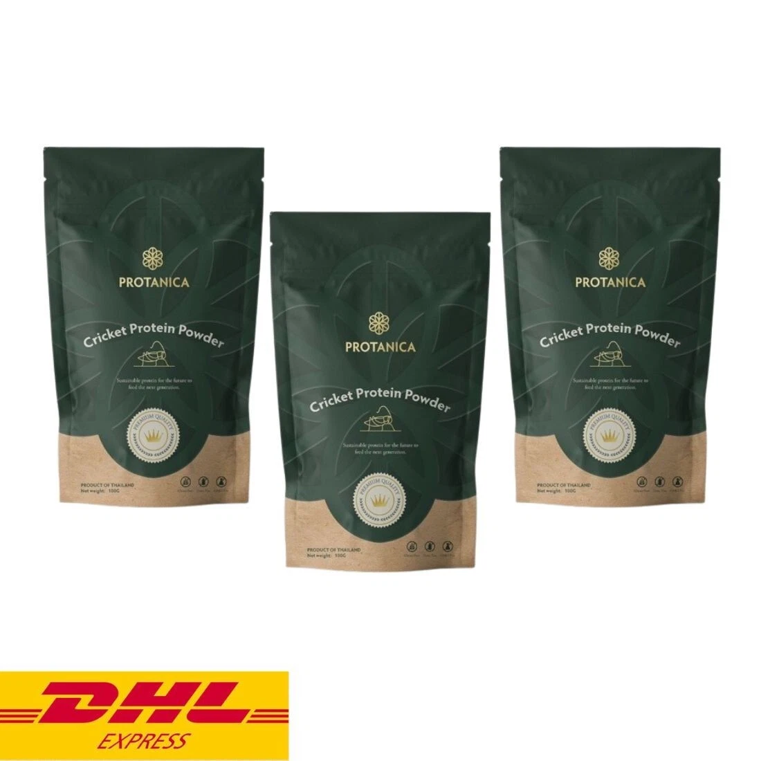 3x Protanica Cricket Protein Powder High Protein Food Snack Bake Topping 100 g