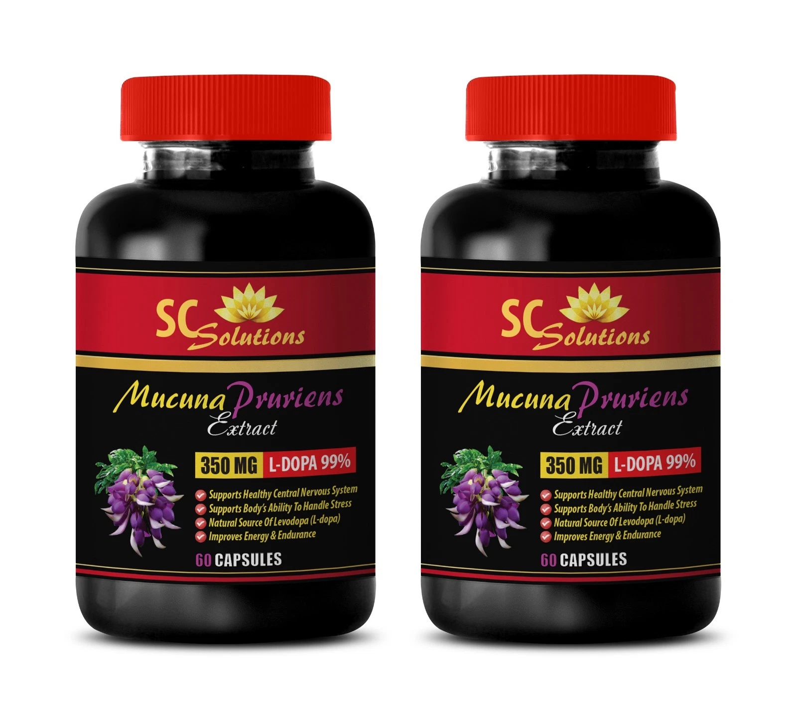 anti aging supplements - MUCUNA PRURIENS EXTRACT - weight loss properties 2 Bot