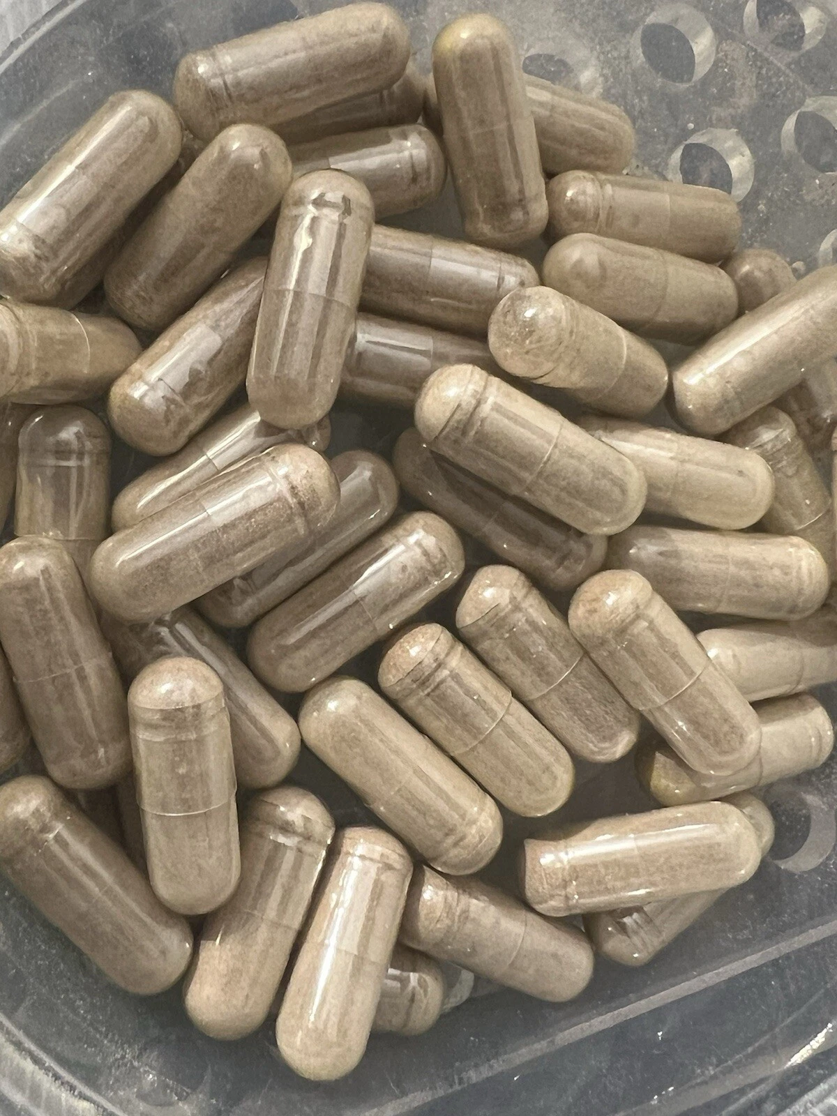 Sea Moss/Bladderwrack/Black Seed/ Burdock 75Ct Capsules 1000mg Alkaline Detox