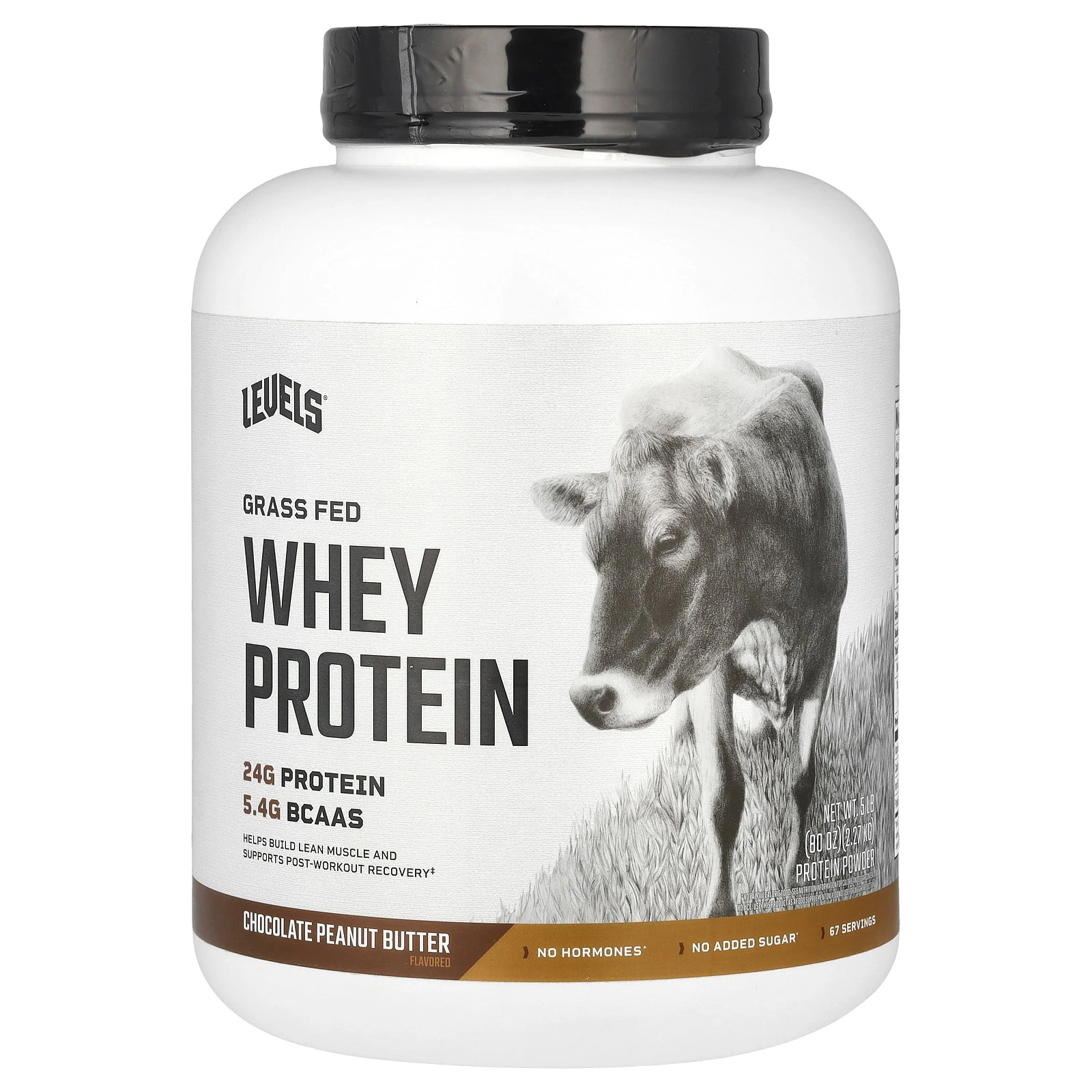 Grass Fed Whey Protein Powder, Chocolate Peanut Butter, 5 lb (2.27 kg)