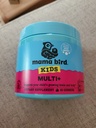 Best Nest Wellness Daily Bird Multi + Gummies (60) Raspberry Kids Multivitamin