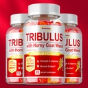 Tribulus 9170mg -Testosterone Booster & Muscle Builder,Enhance Male Libido