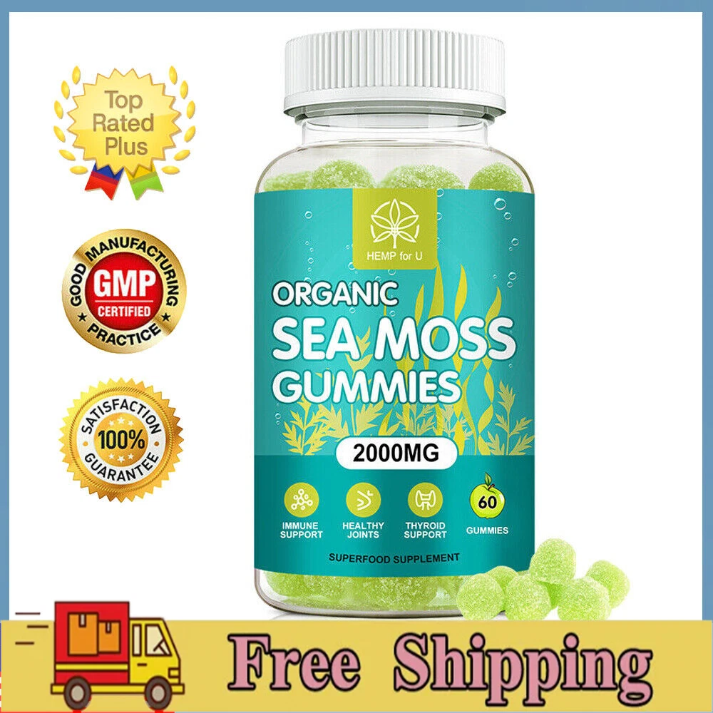 2000mg Organic Sea Moss Gummies-Apple Cider Vinegar Bladderwrack US