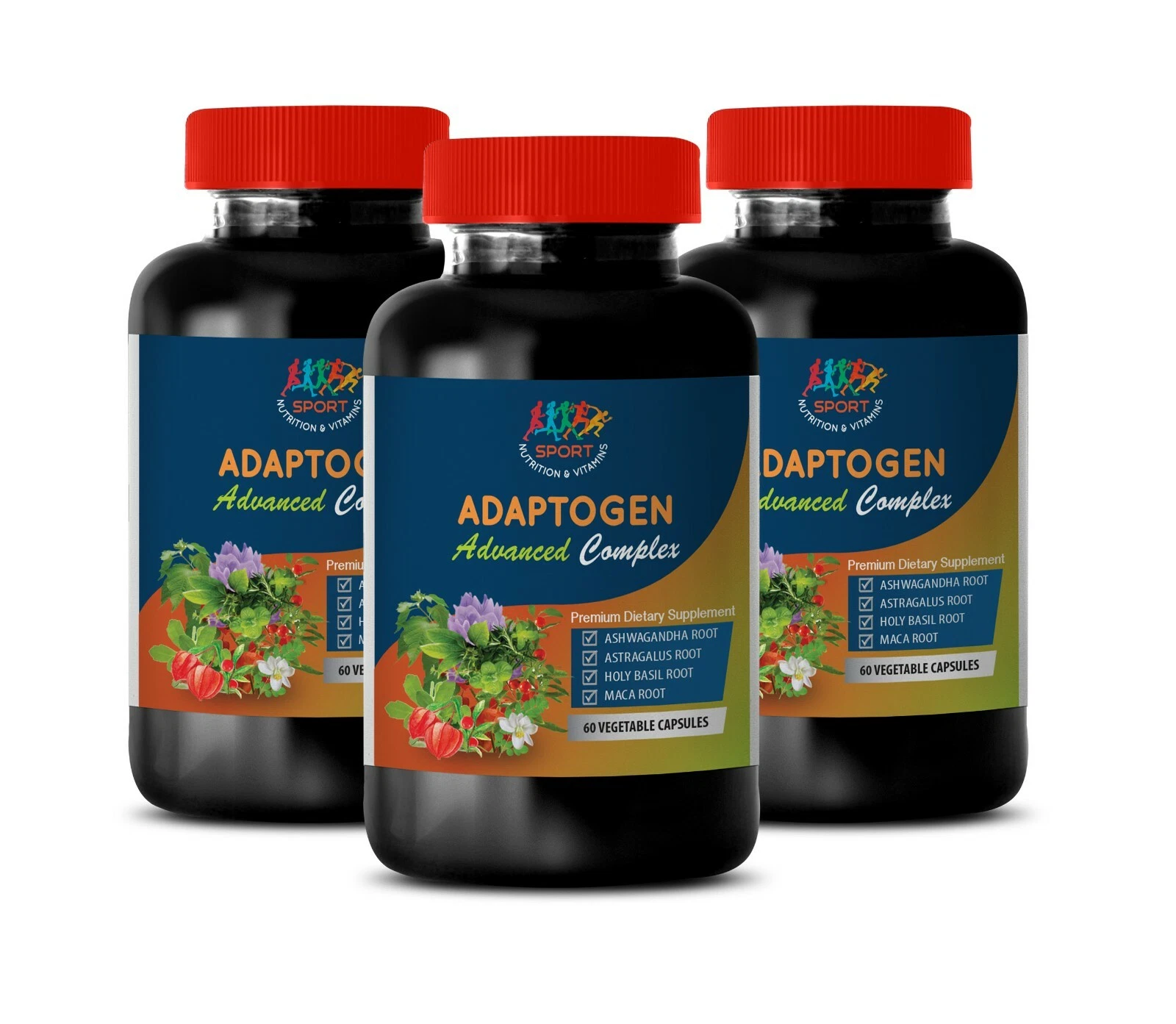 energy booster - ADAPTOGEN ADVANCED COMPLEX - schisandra instant 3B
