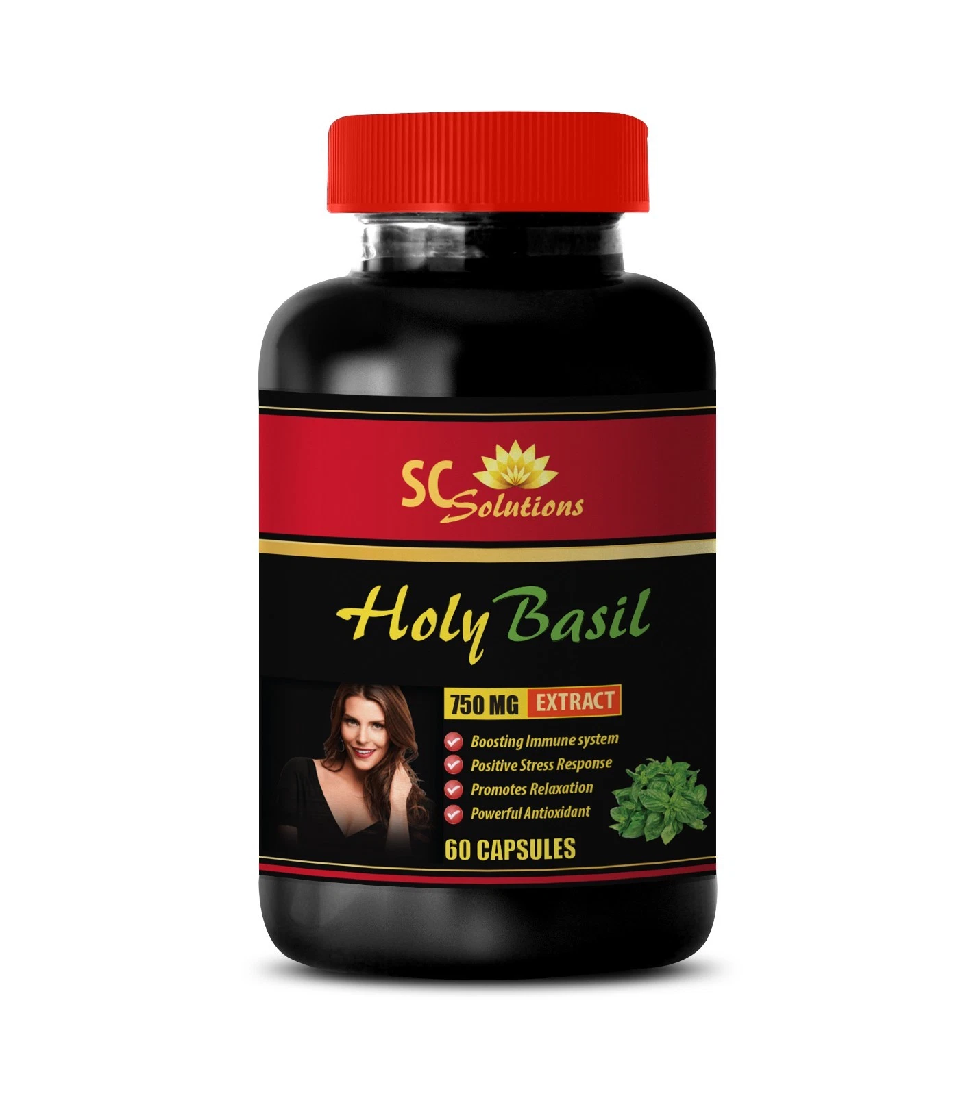 cholesterol and triglyceride supplements - HOLY BASIL - holy basil supplement-1B