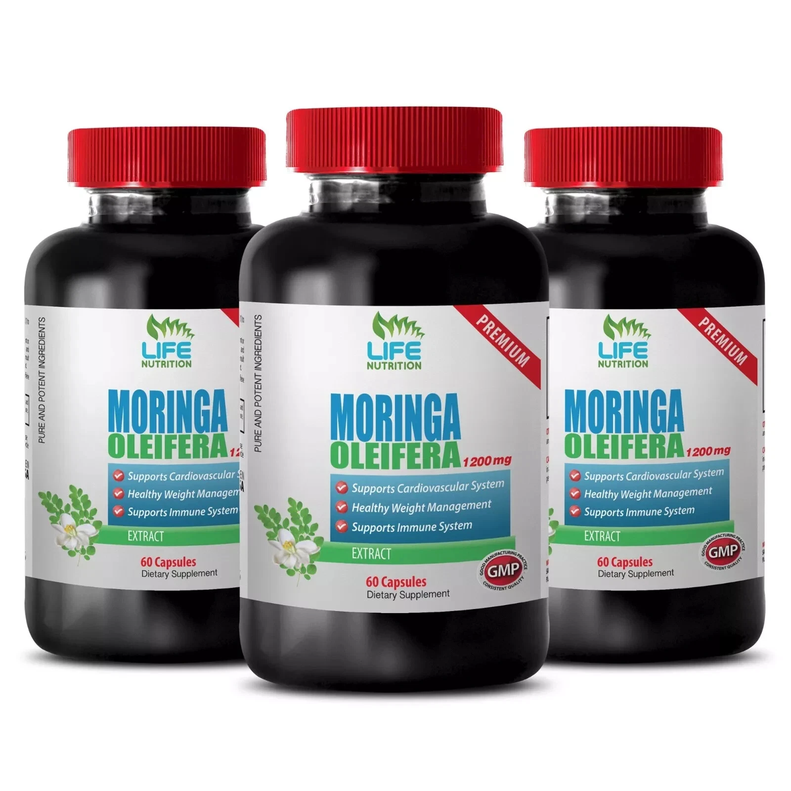 Tree Nutrition - MORINGA OLEIFERA - Alternative Protein 3 Bottles 180 Capsules